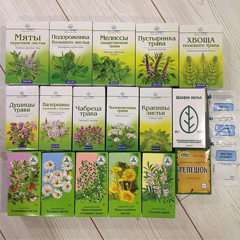 Лекарственные травы Мелисса описание