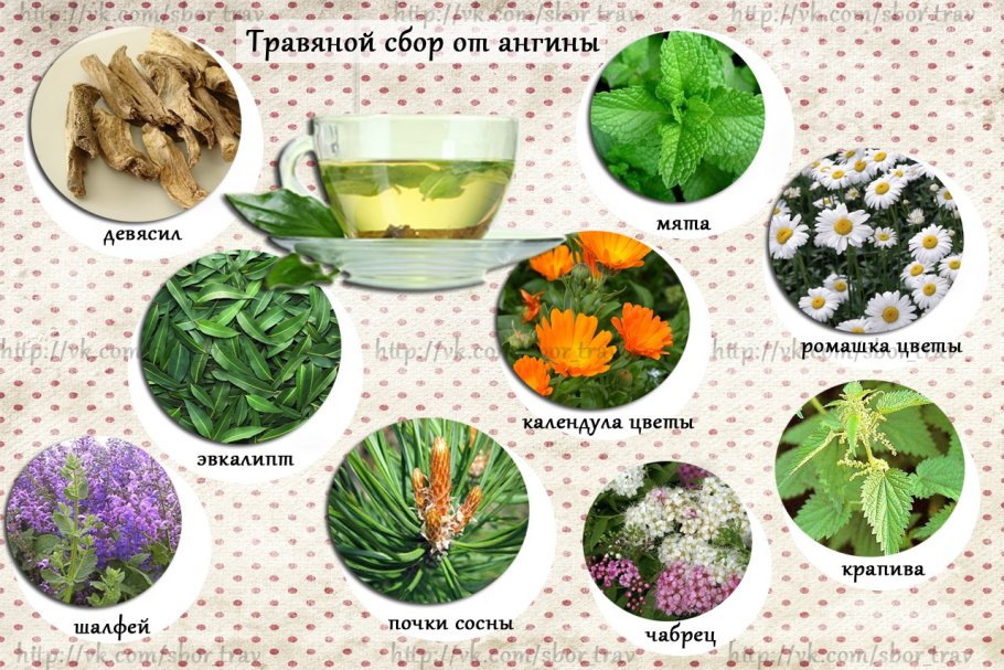 Флора в медицине