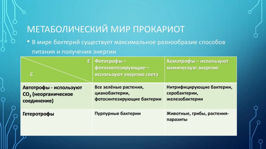 Строение грибов 5 класс биология таблица