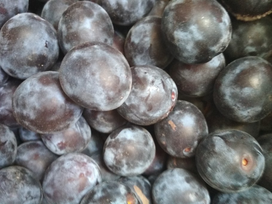 Алыча плодовое дерево