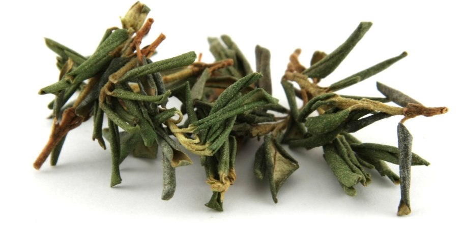 Рододендрон красная Поляна