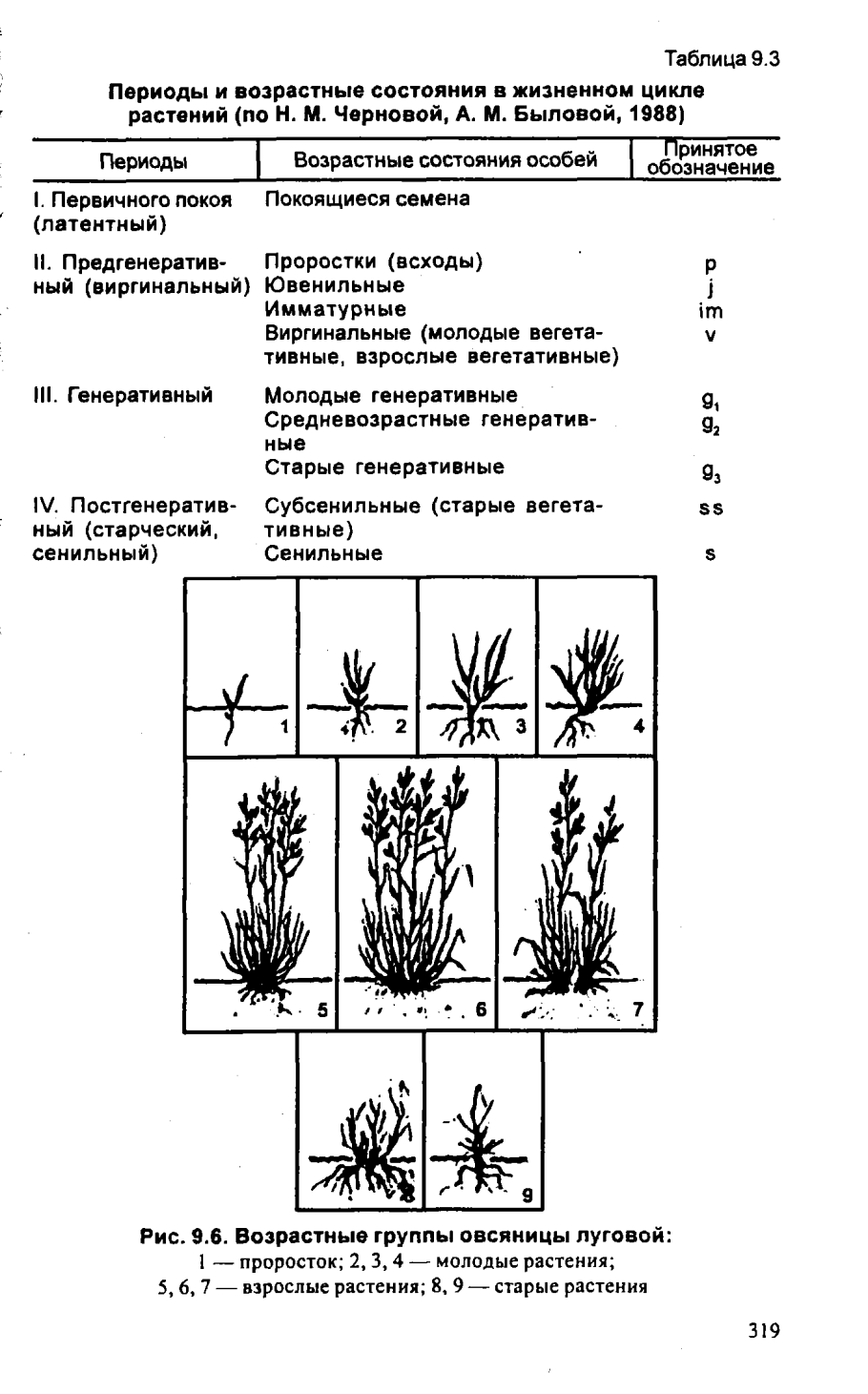 Влияние условий роста сосны