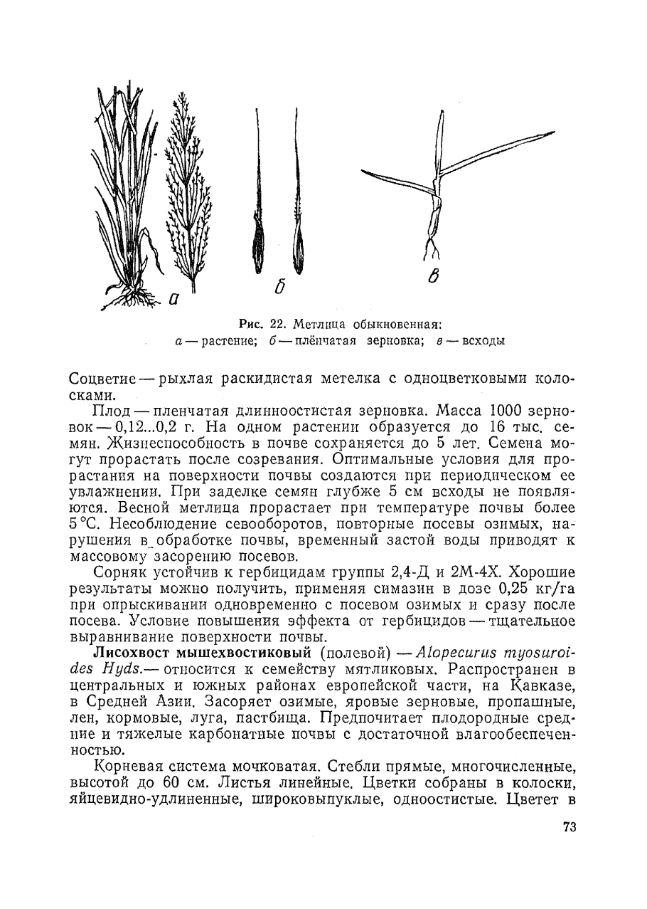 Происхождение цветковых растений