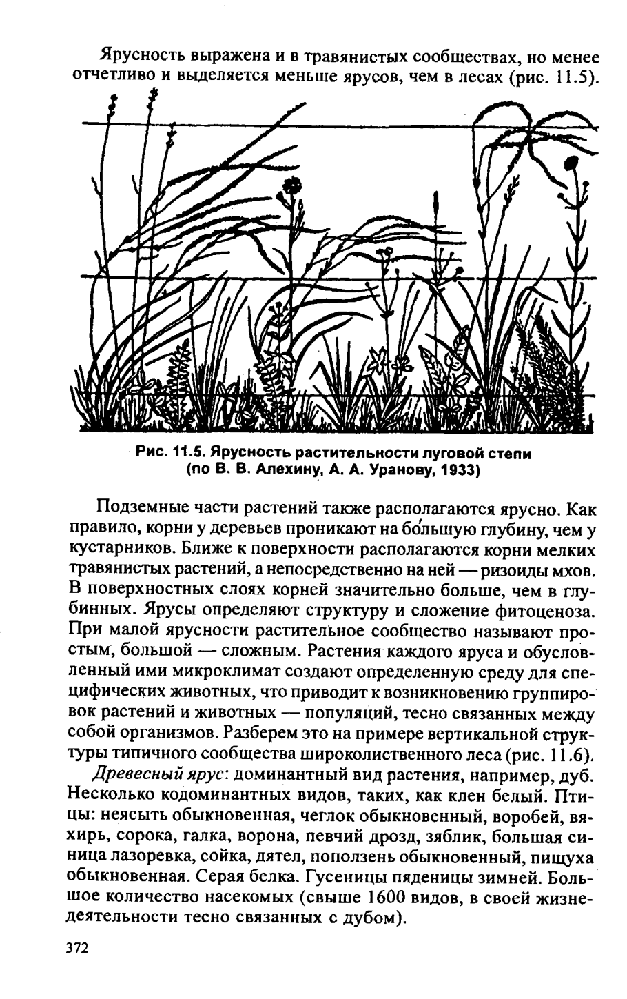 Растения нашего Луга