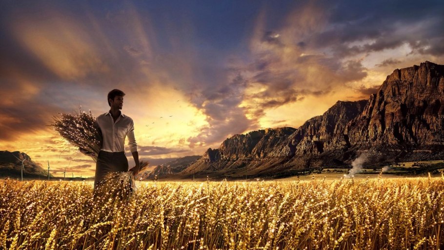 Мужчина в поле пшеницы