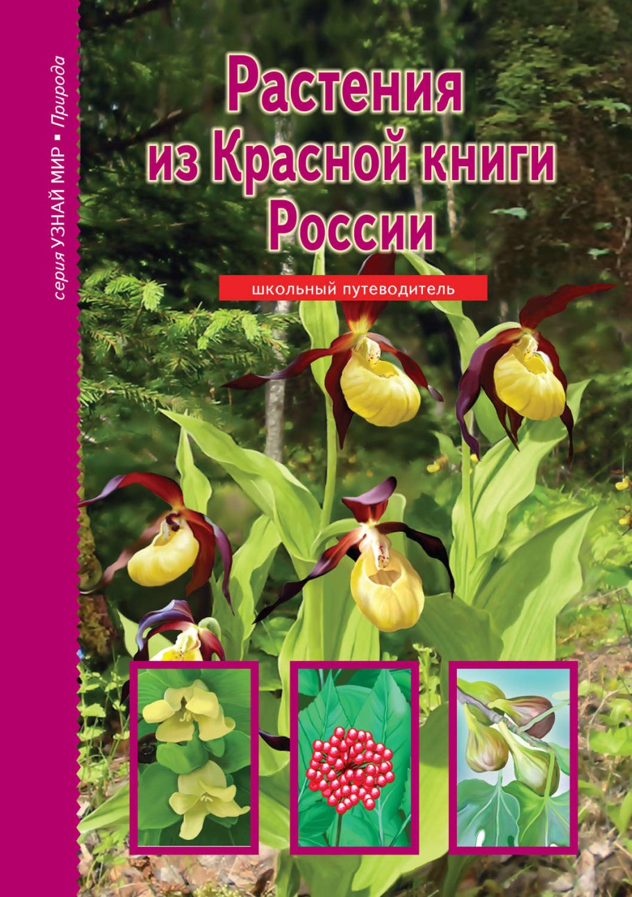 Краснокнижные растения Алтая