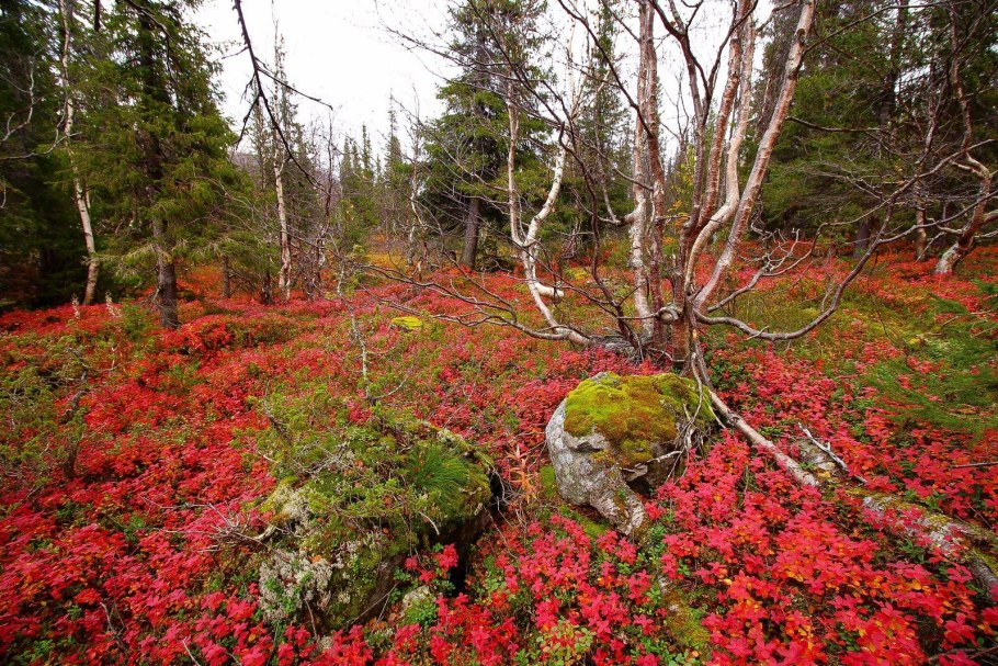 Хибины рудник