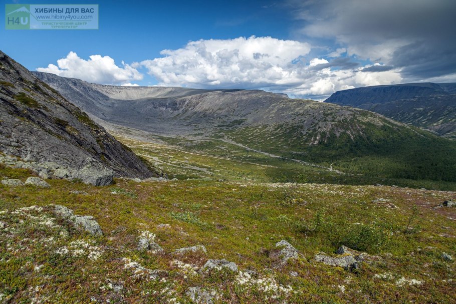 Чукотка тундра грибы