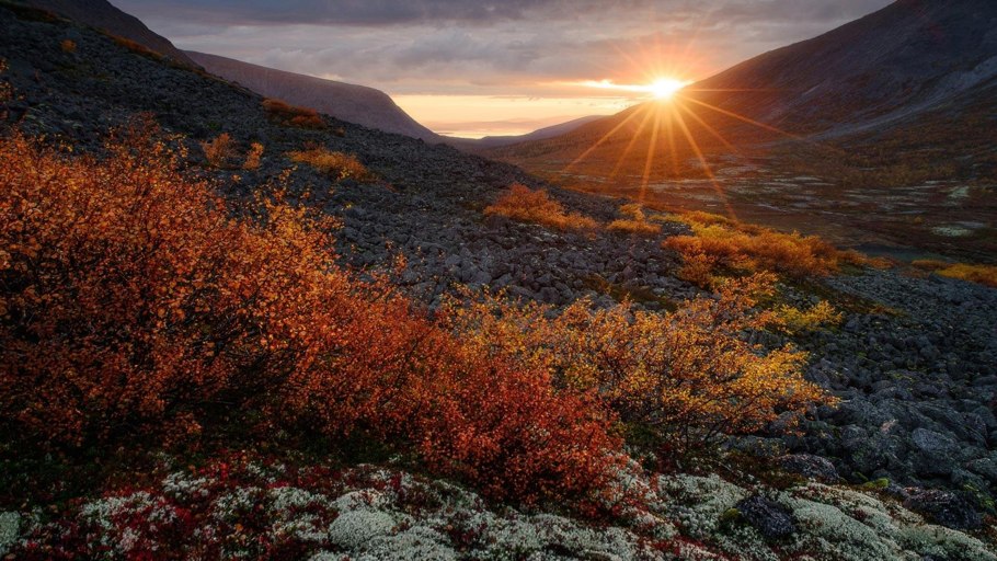 Кольский полуостров хибины тундры