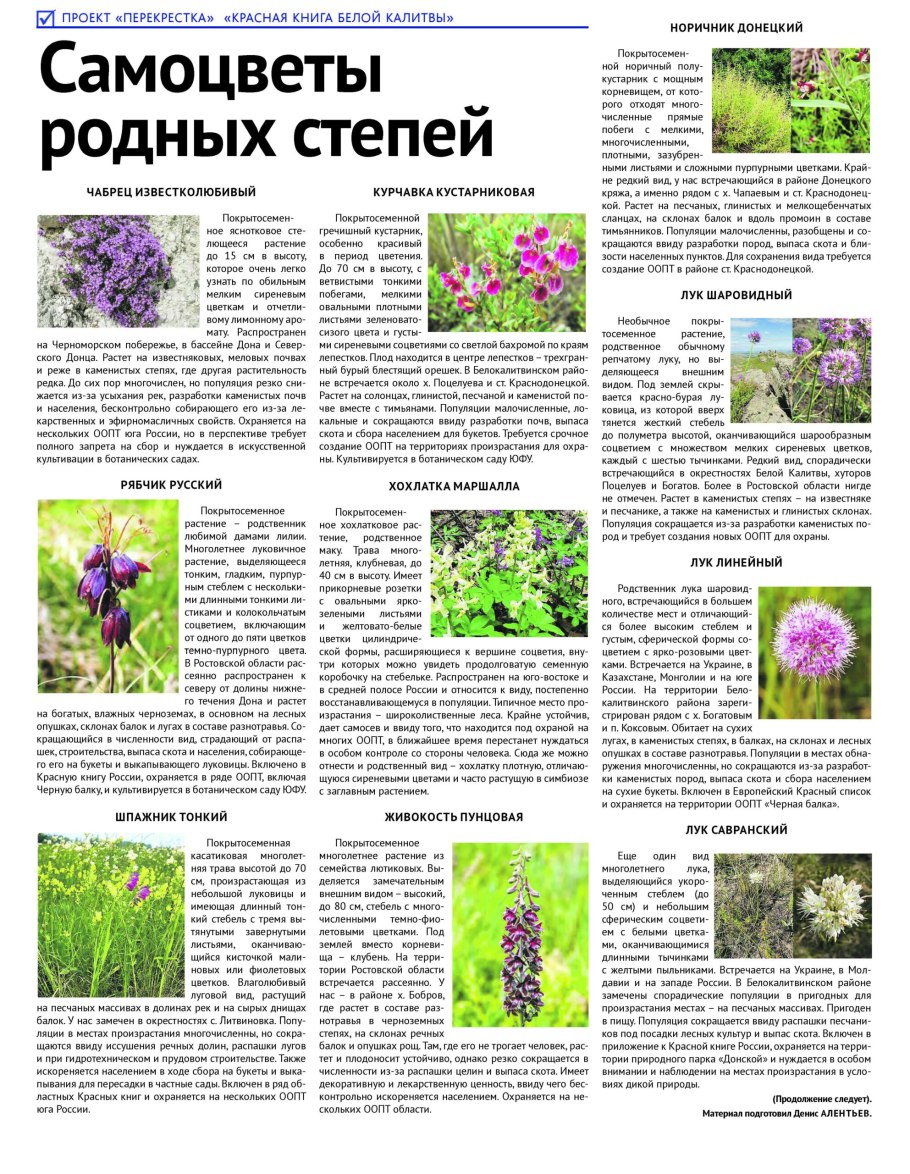 Растения красной книги степи России