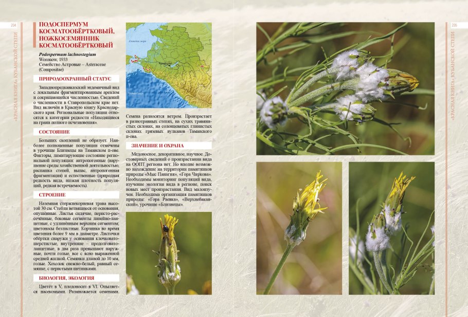 Красная книга Кубанской степи Литвинская с.а