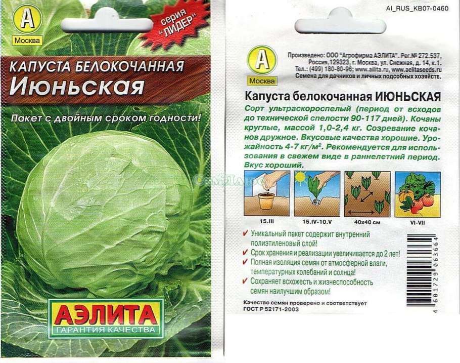 Семена капусты белокочанной