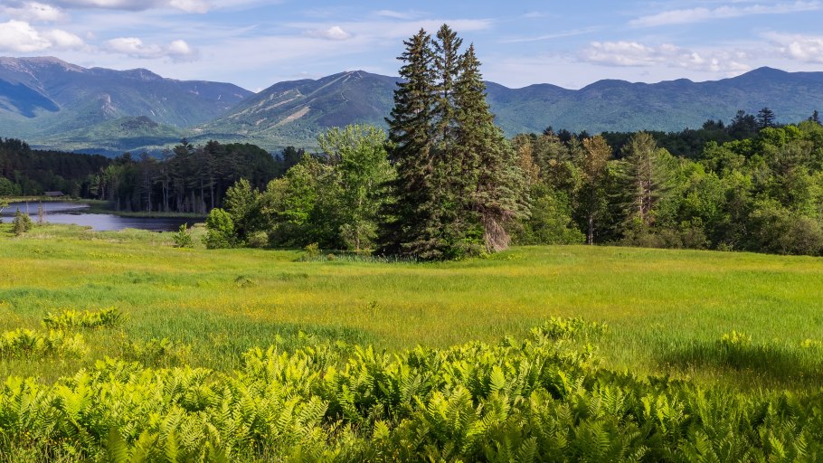 Альпийские Луга Швейцария Альпийские Луга Швейцария