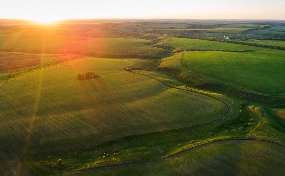 Поля Липецкой области