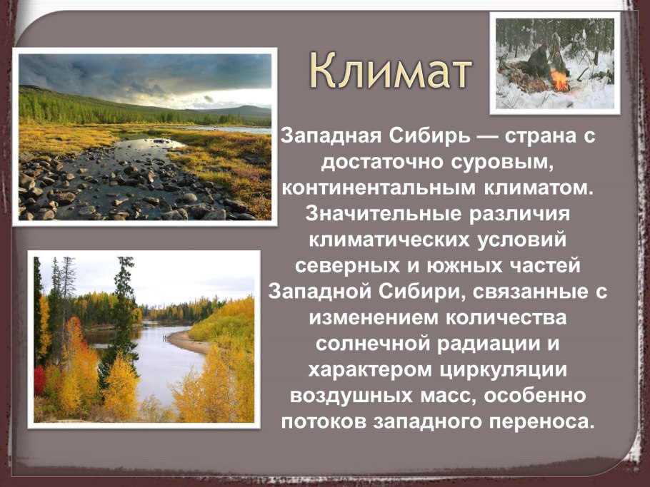 Кулундинский лес Алтайского края