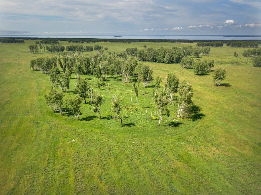 Ковыльная степь Хакасия
