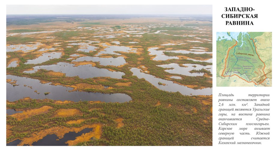 Каршинская степь