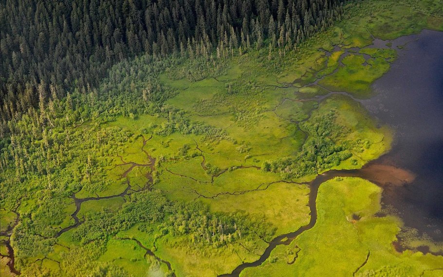 Карта природных зон РФ 4 класс