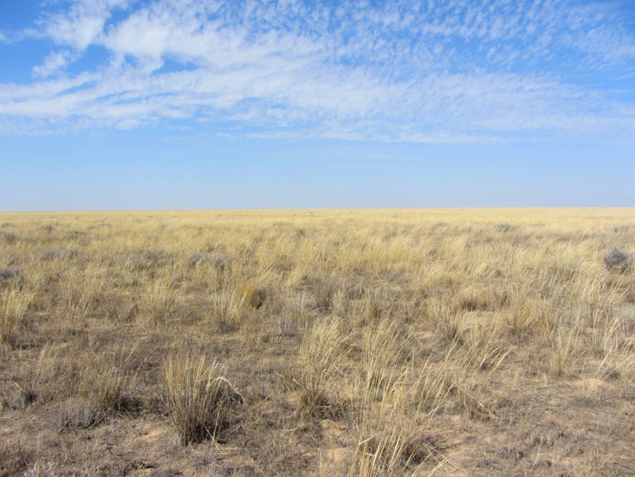Кирзинский природный заказник