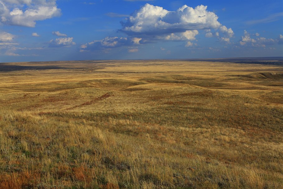 Степная зона Красноярского края