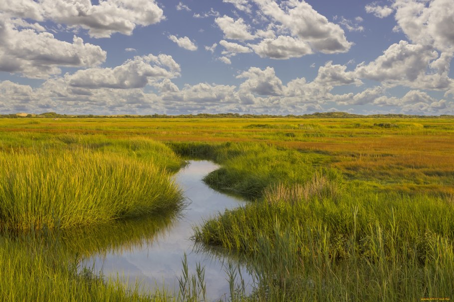 Речные равнины