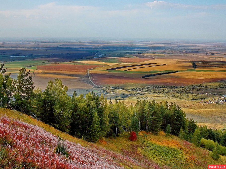 Лесостепи и степи России 8 класс