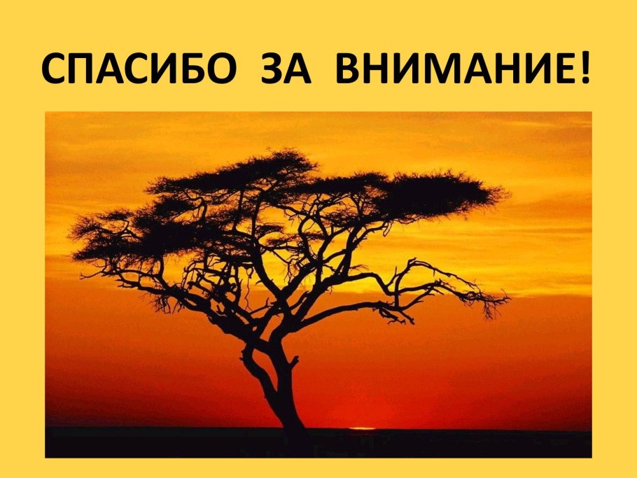 Растительный мир саванны презентация