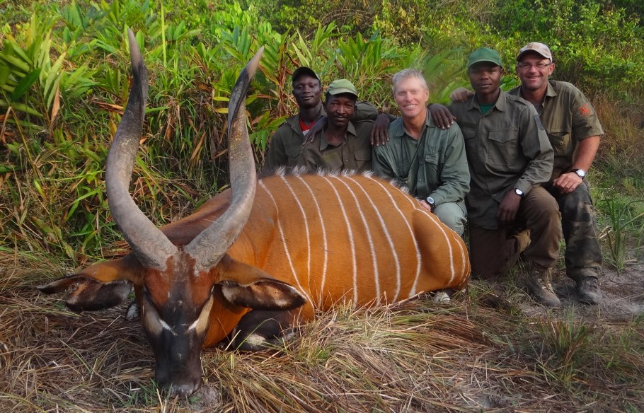 Растительный и животный мир