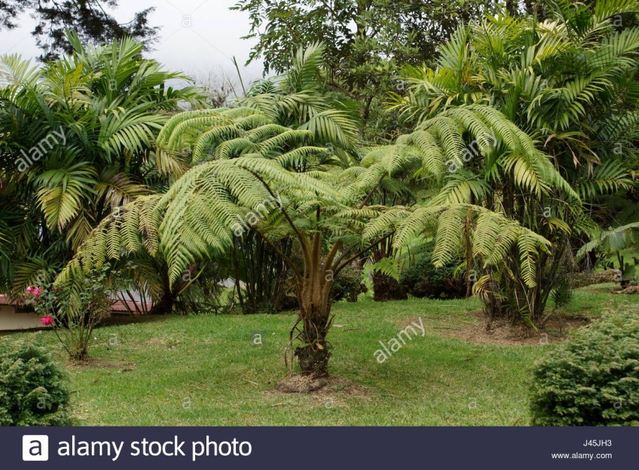 Африка пустыня Калахари