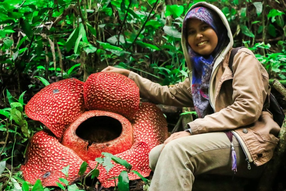 Соссусфлей мертвая Долина