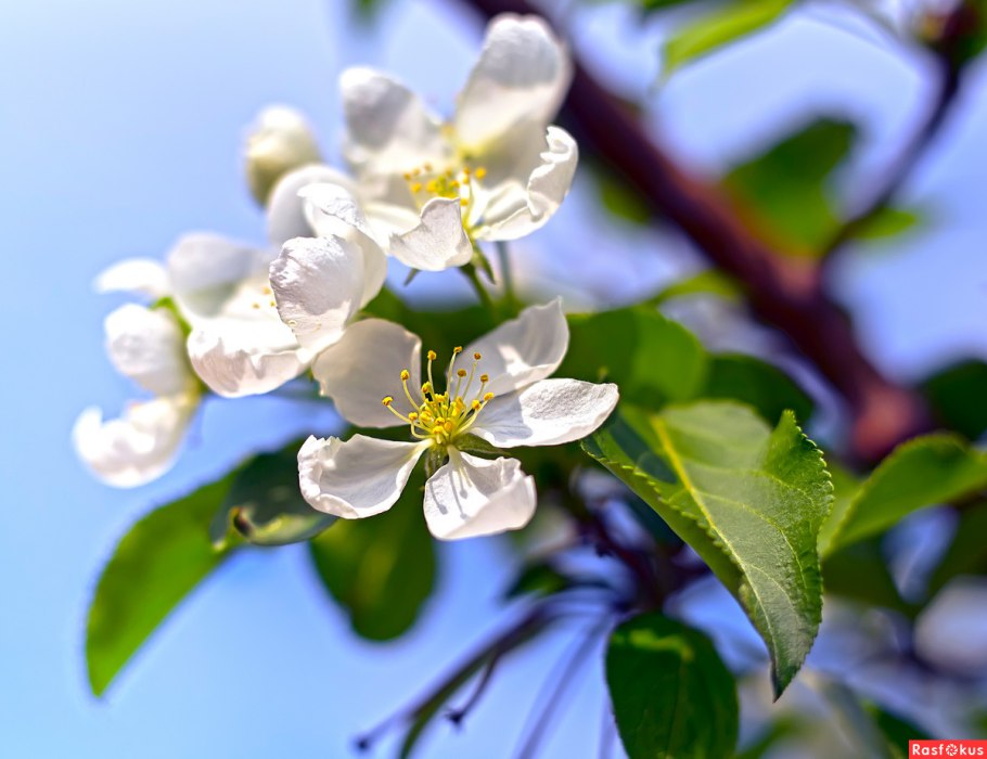 Цитаты про весну