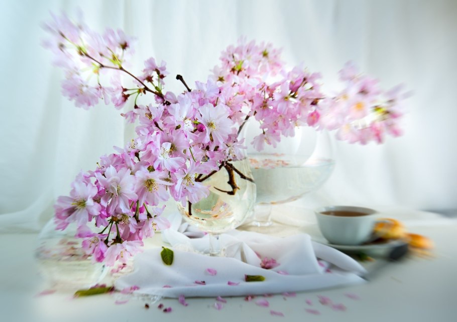 Утро Весна цветы