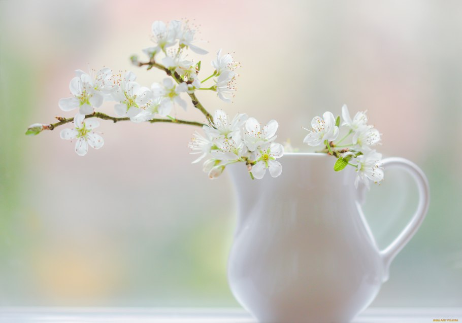 Цветущие сады