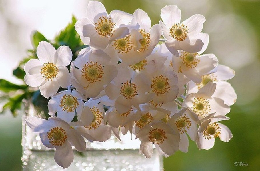 Прекрасного весеннего денька