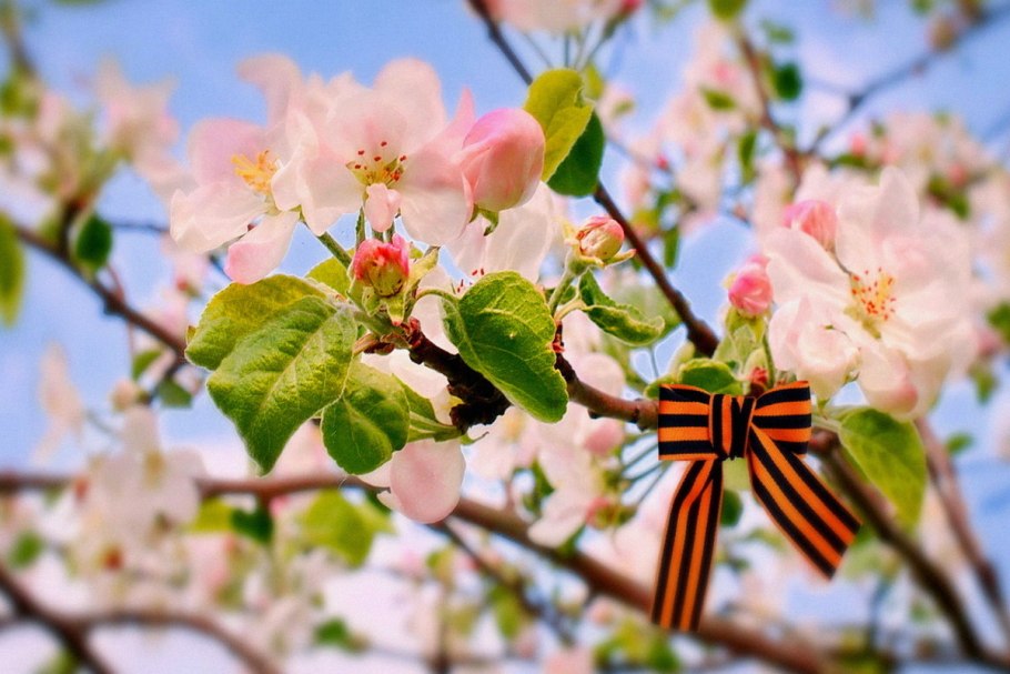 Чудесной весны