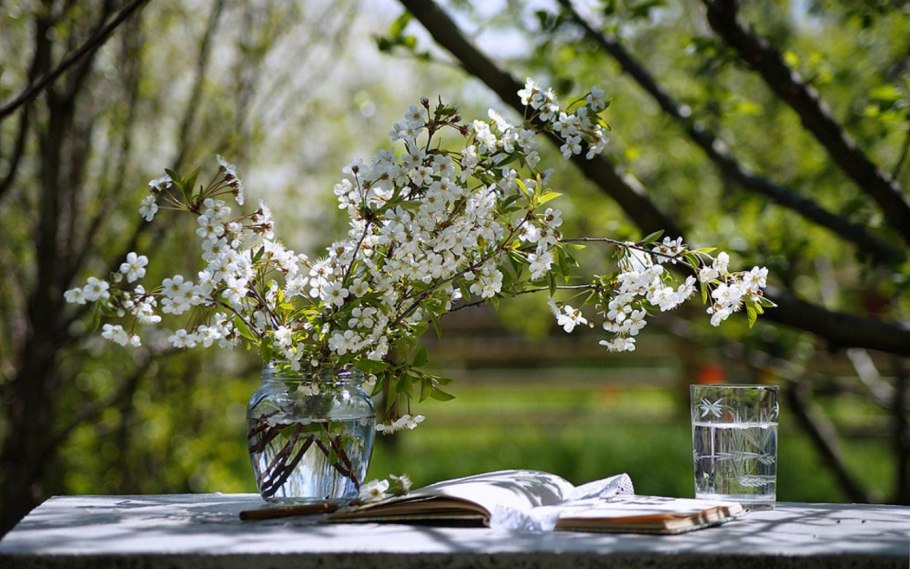 Стол в цветущем саду