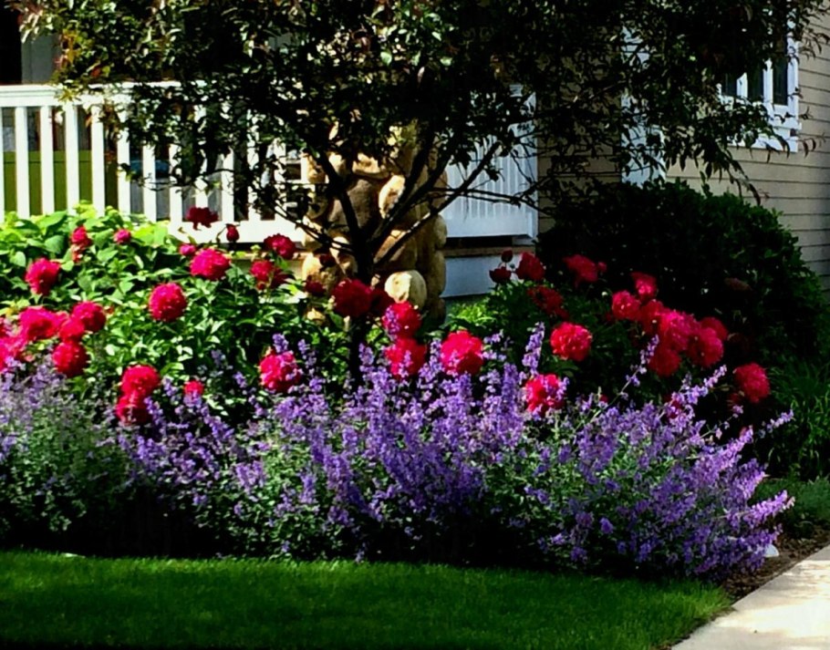 Миксбордер с лавандой и шалфеем