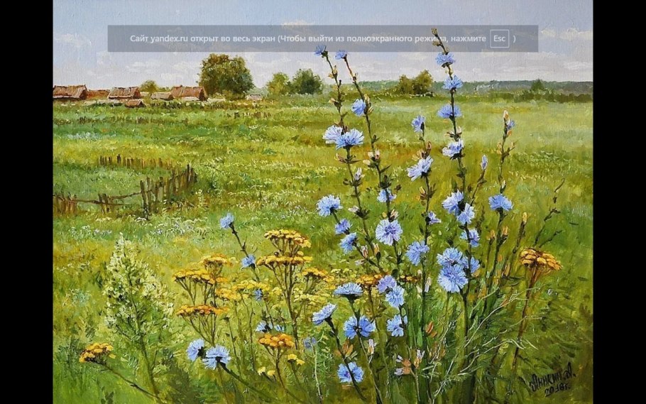 Маковые поля в Крыму