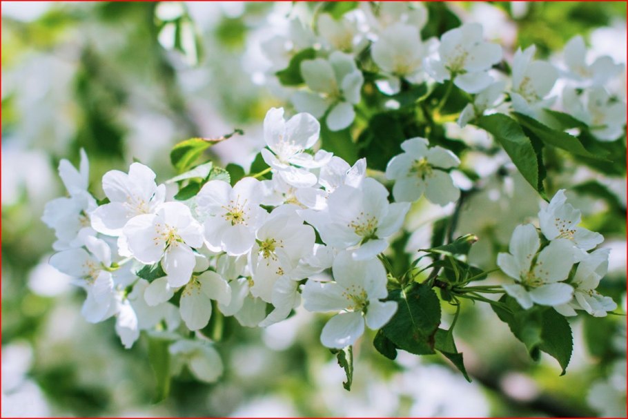 Весенний пейзаж