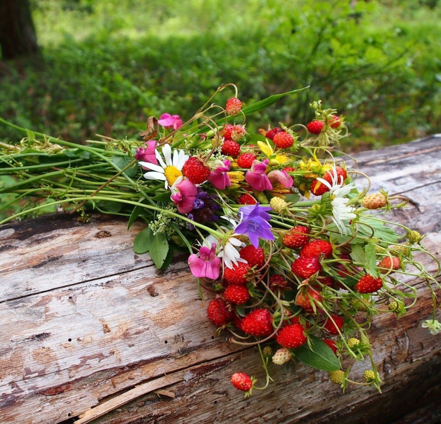 Мелкие белые цветочки полевые