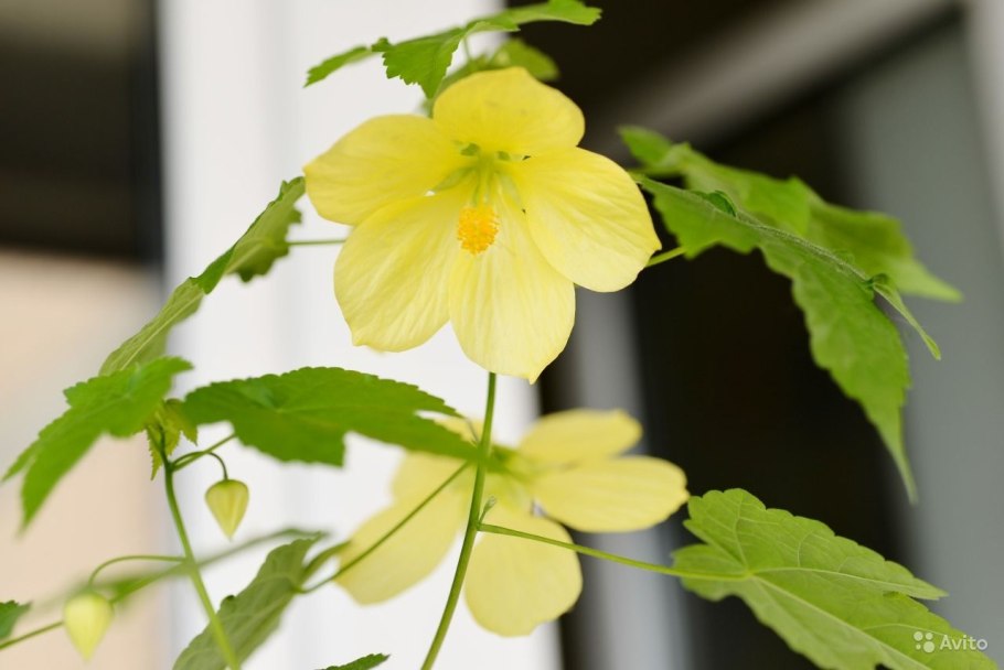 Индукционный нагреватель схема 8квт