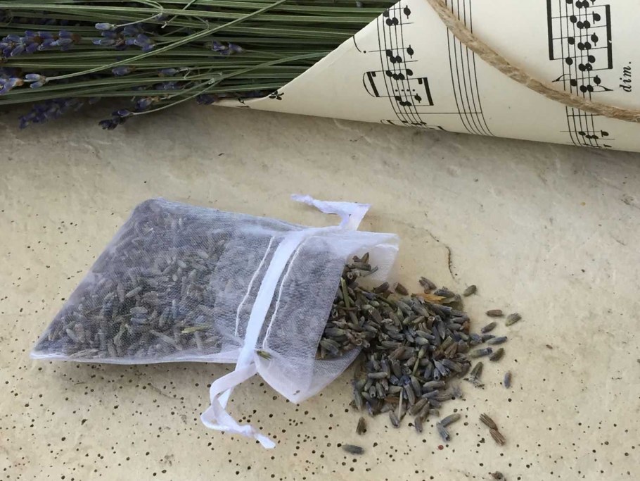 Укоренение черенков лаванды