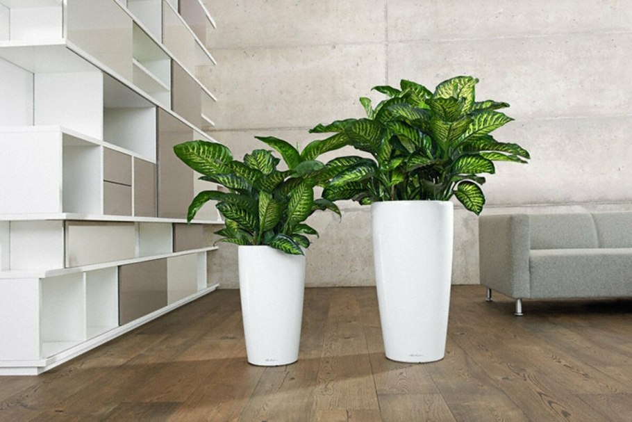 Кашпо Lechuza Rondo 40