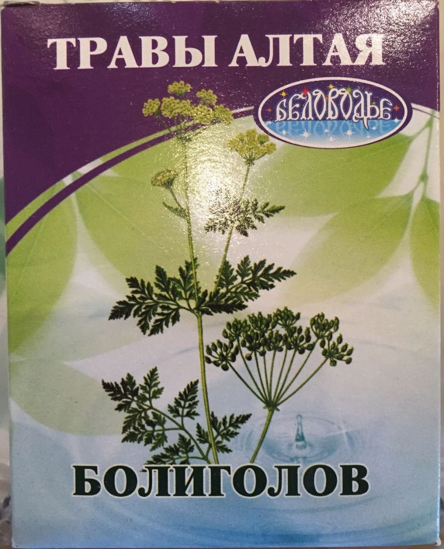 Борщевик и болиголов