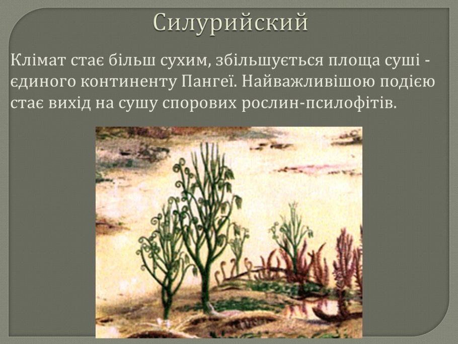 Псилофиты — вымершие растения
