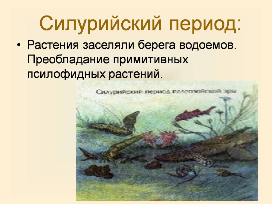 Силурийский период растительный мир