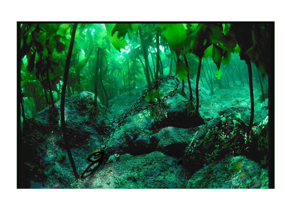 Окаменелости Green River