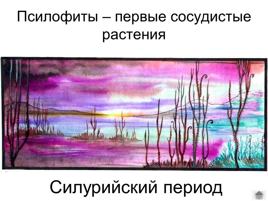 Силурийский период псилофиты