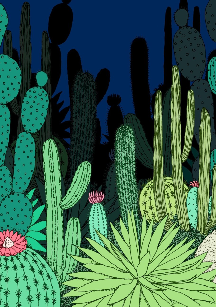 Кактус цереус мексиканский