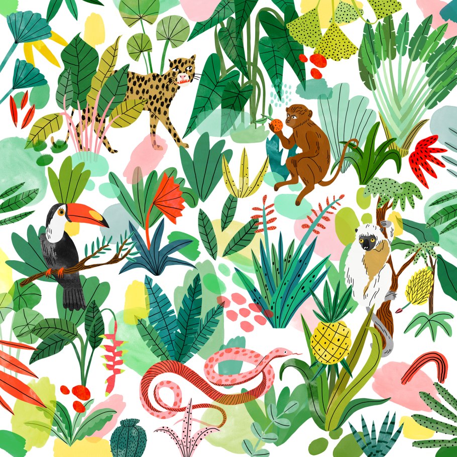 Пустыня Аризона кактусы